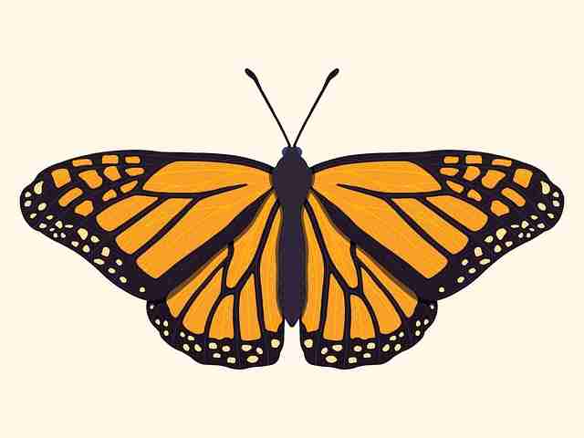 onlyfnas界面交互升级|高保真上传机制详解视觉体验更顺畅 第2张 onlyfnas界面交互升级|高保真上传机制详解视觉体验更顺畅 第2张