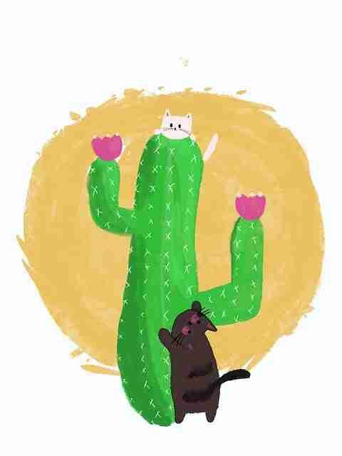 探花视频视觉风格重构｜短片合集首发挑战观众感官