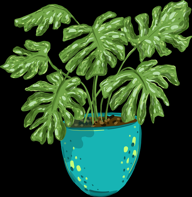 onlyfnas官网官方更新报告|高粘性粉丝运营策略新功能上线实测