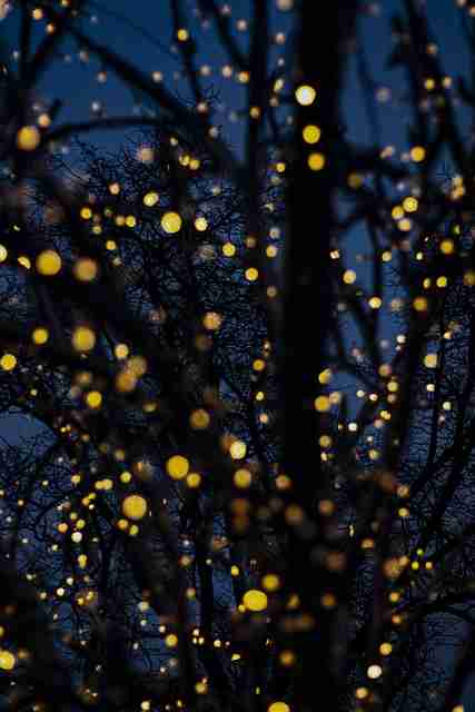 暗网匿名社区趋势｜实用跳板工具清单活跃度持续上升