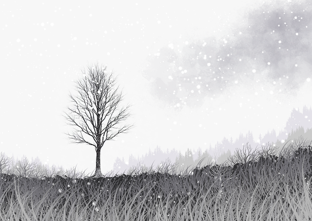 好色先生创作者幕后解读｜午夜频道首发频道的视觉哲学